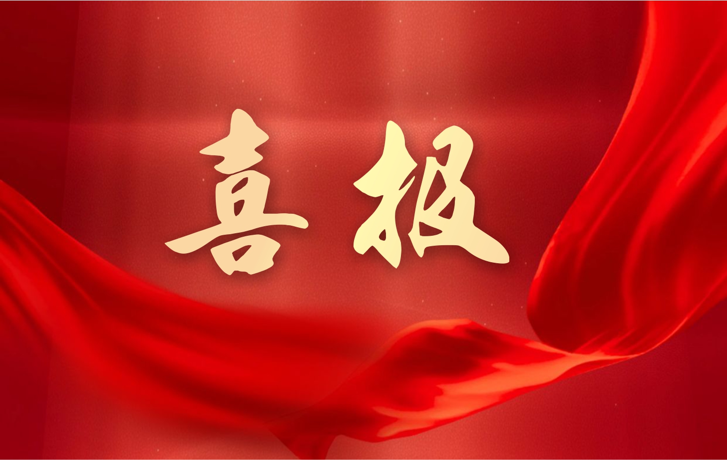 營收凈利雙增長！依頓電子2025年一季度經(jīng)營業(yè)績續(xù)寫高質量發(fā)展華章
